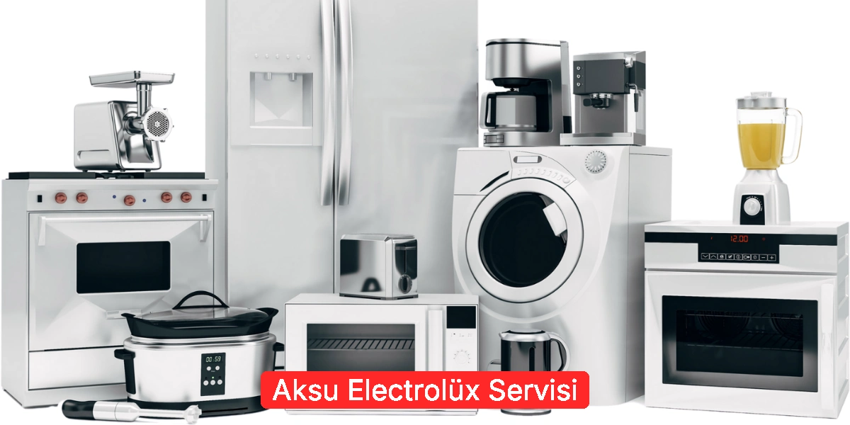 Aksu Electrolüx Servisi