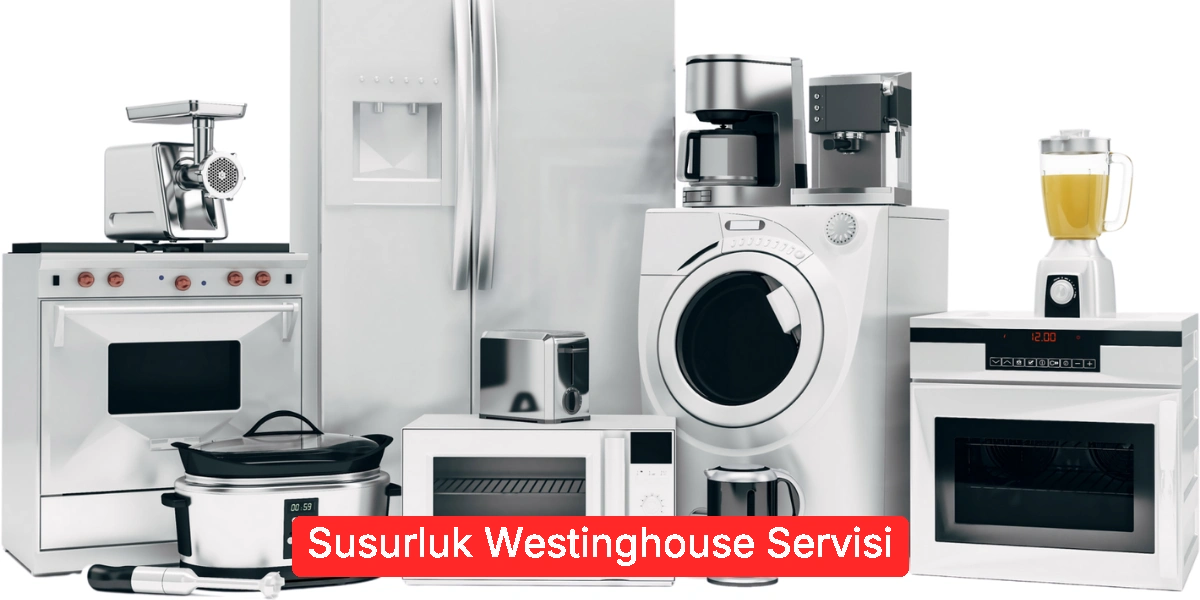 Susurluk Westinghouse Servisi