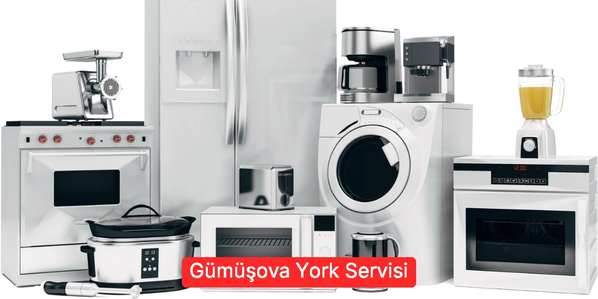 Gümüşova York Servisi