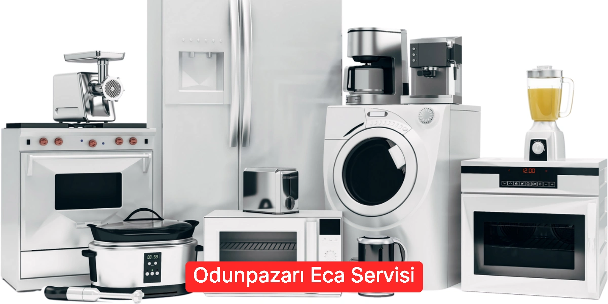 Odunpazarı Eca Servisi
