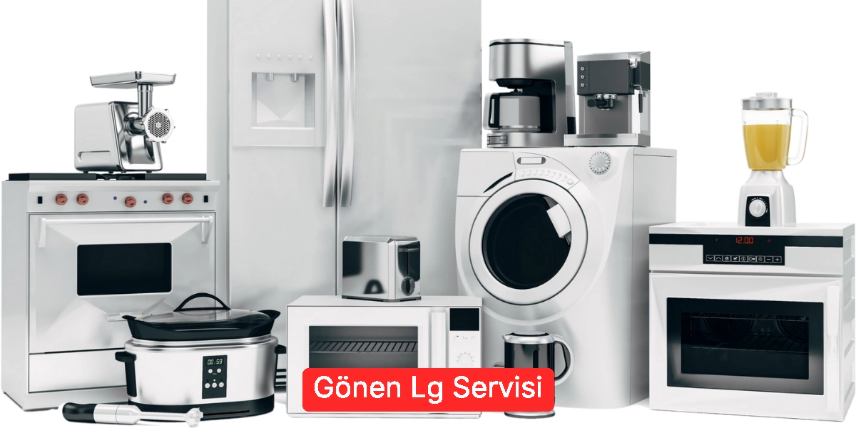 Gönen Lg Servisi