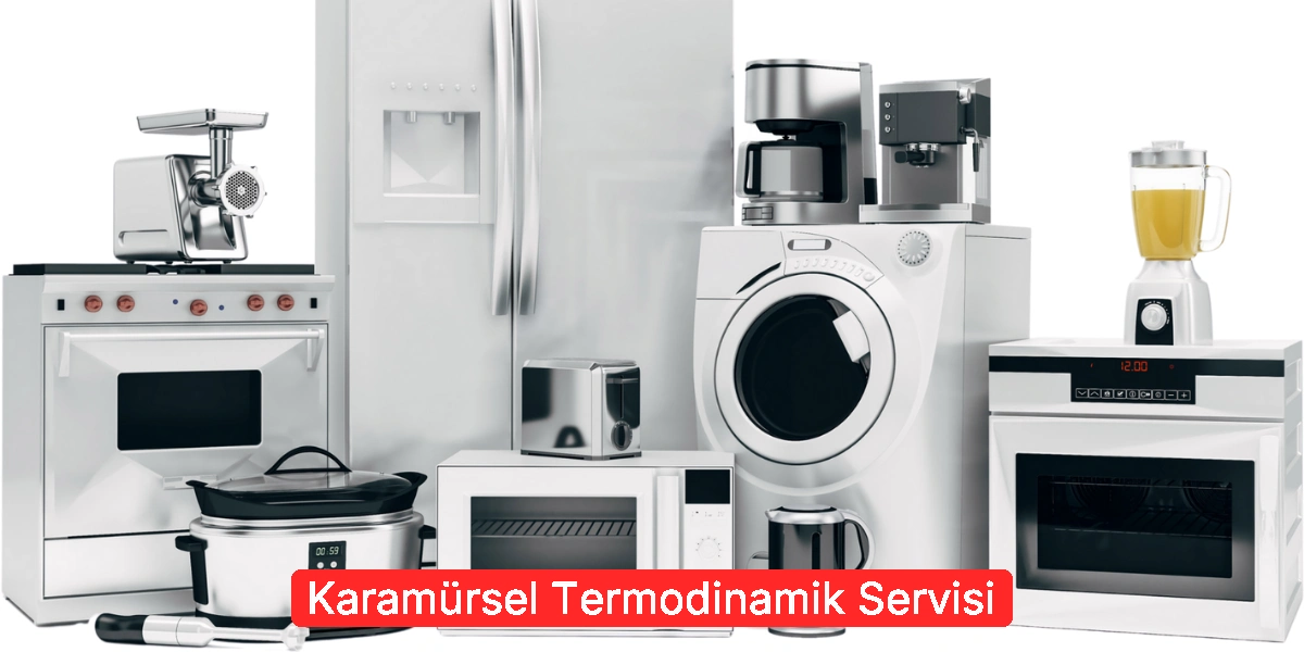 Karamürsel Termodinamik Servisi