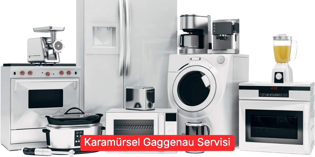 Karamürsel Gaggenau Servisi