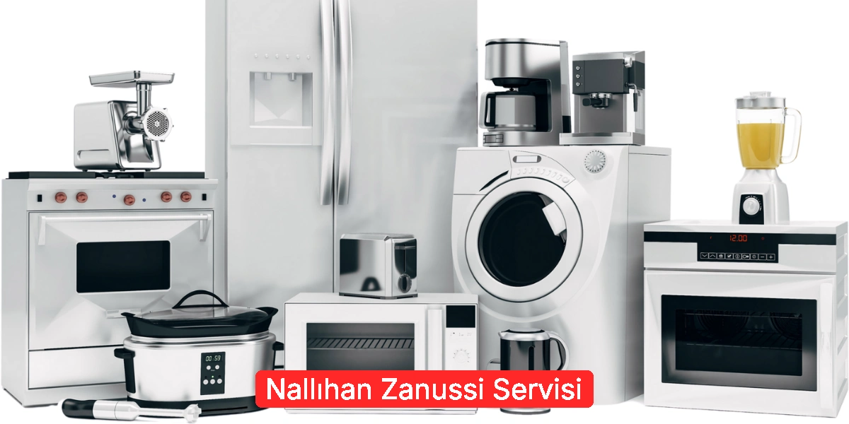 Nallıhan Zanussi Servisi