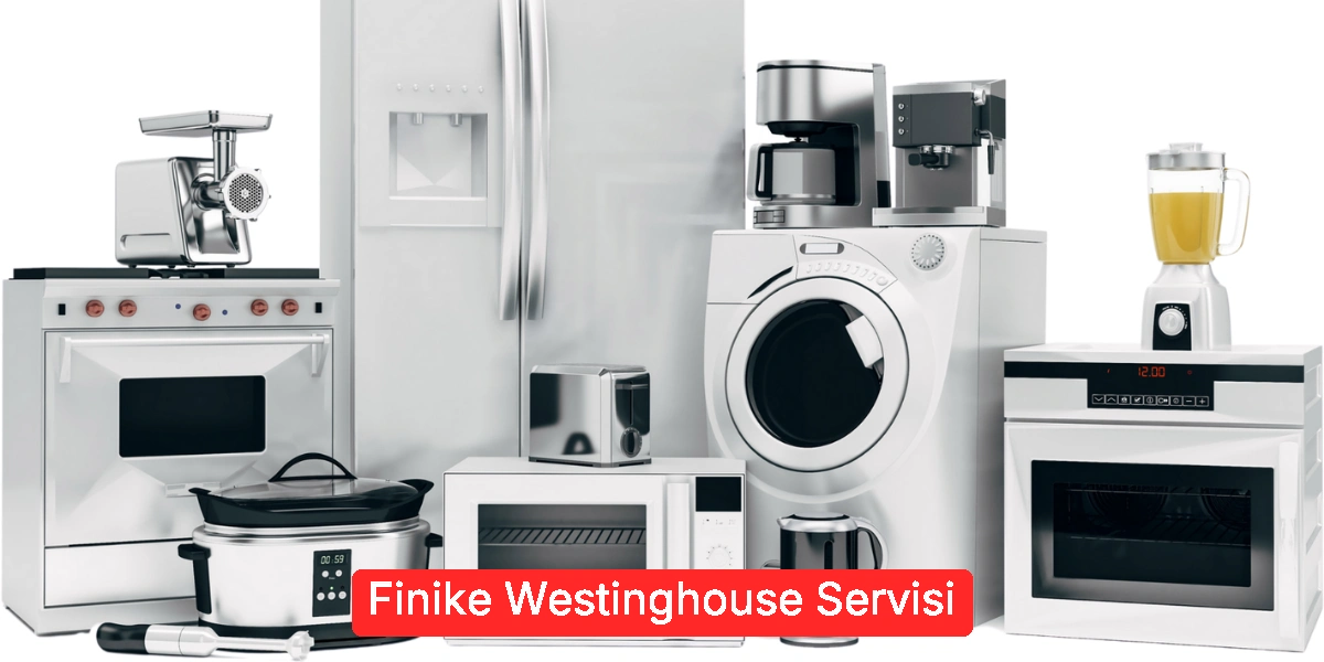 Finike Westinghouse Servisi