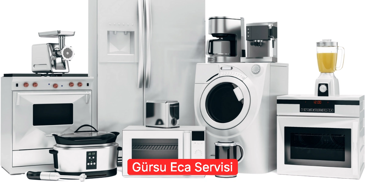 Gürsu Eca Servisi