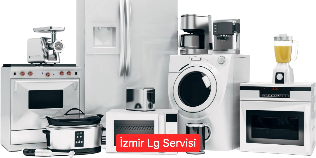 İzmir Lg Servisi