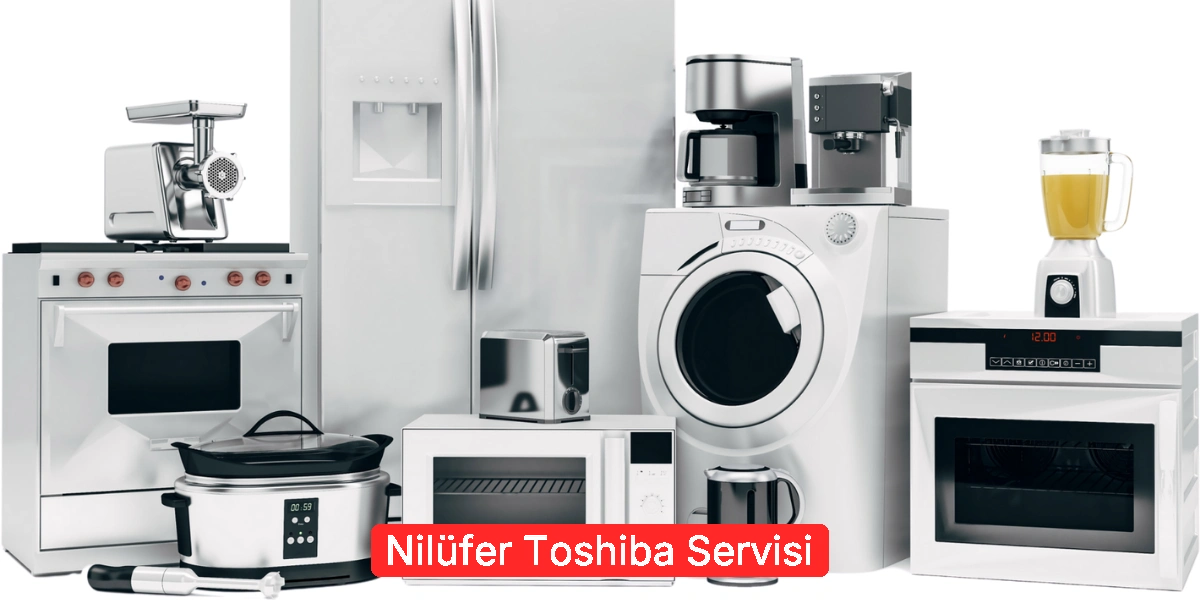 Nilüfer Toshiba Servisi