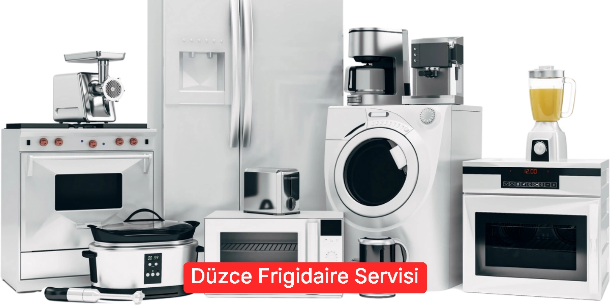 Düzce Frigidaire Servisi