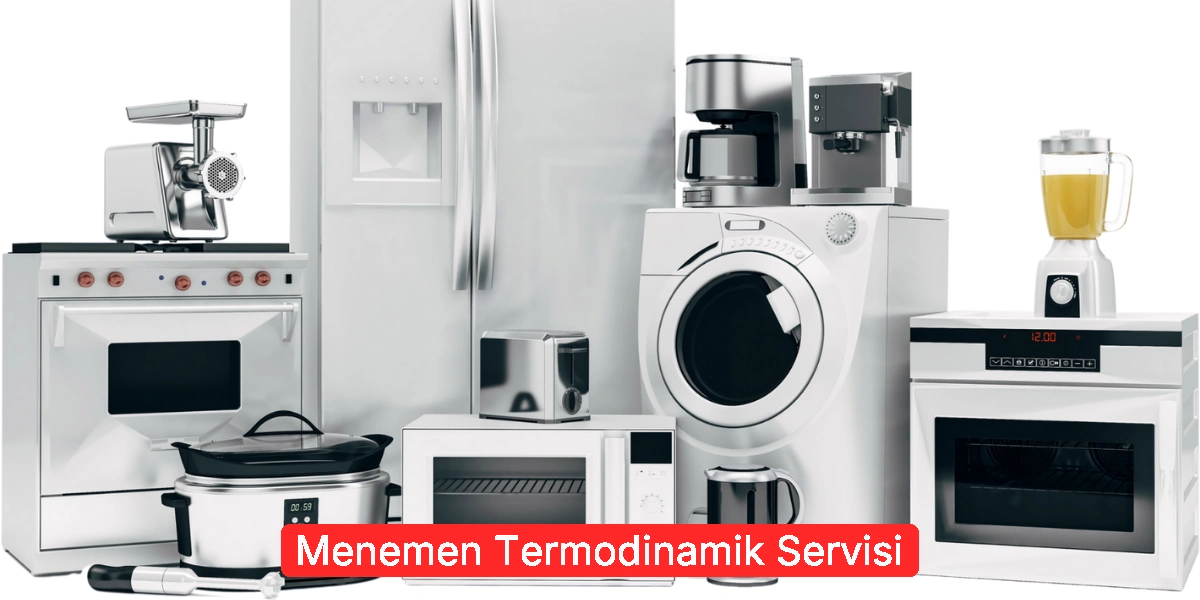 Menemen Termodinamik Servisi