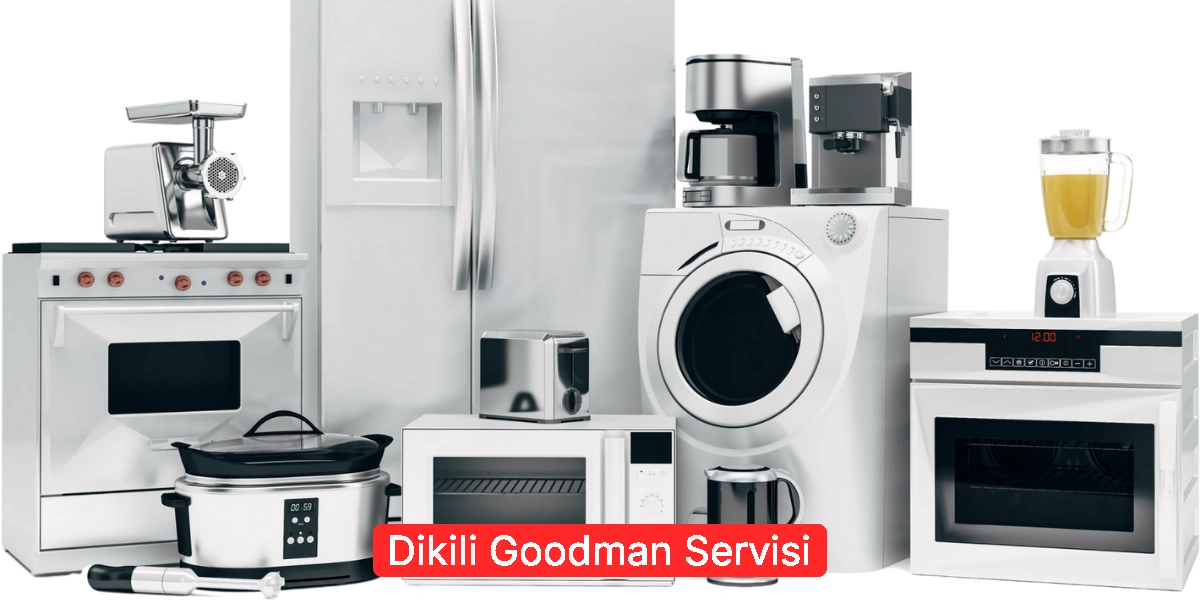 Dikili Goodman Servisi