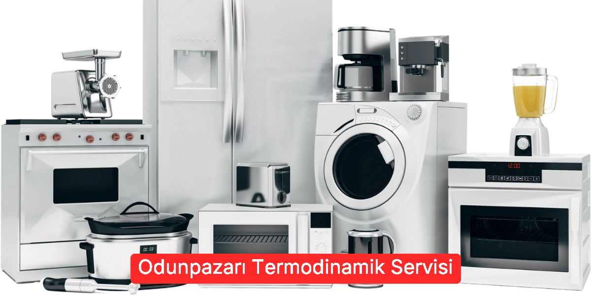 Odunpazarı Termodinamik Servisi