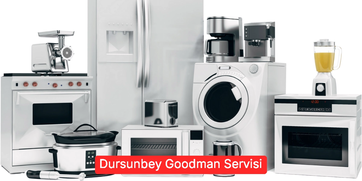 Dursunbey Goodman Servisi