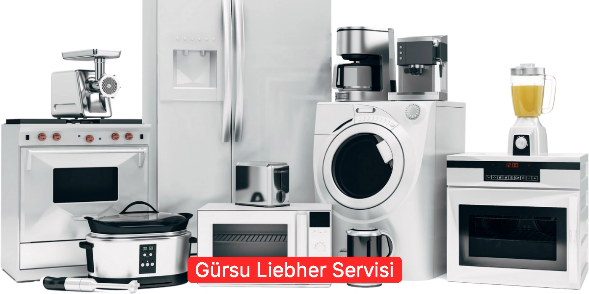 Gürsu Liebher Servisi