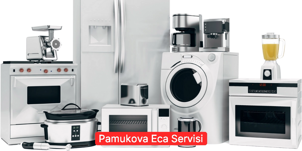 Pamukova Eca Servisi