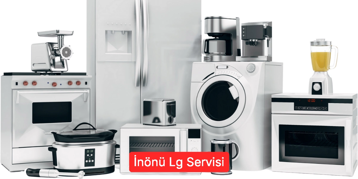 İnönü Lg Servisi
